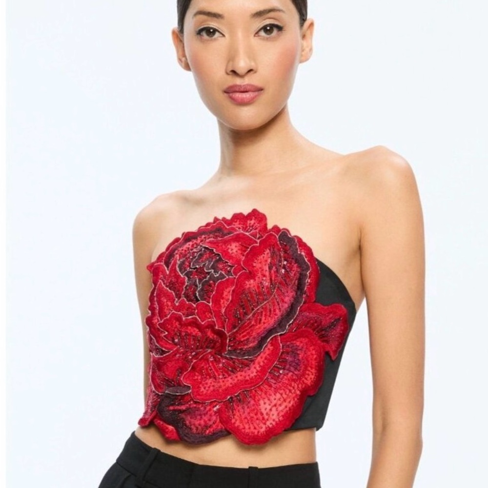 Alice + Olivia Red Floral Strapless Crop Top